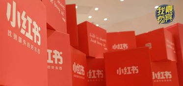 明星带货,阿里领投,小红书下一步却无意电商 嘉宾案例