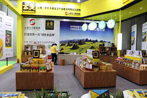 2018中国 昆明国际绿色食品投资博览会开幕